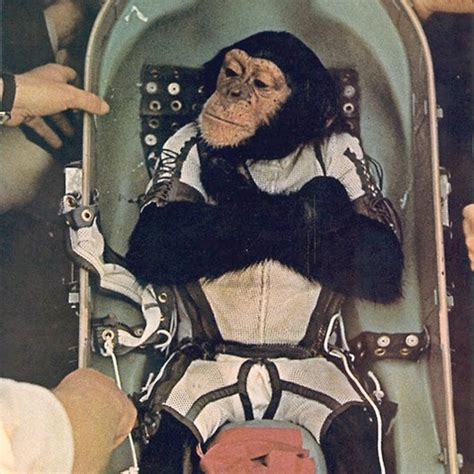 Nasa Chimp | Monkey Business! | Pinterest | Rocket center, The o'jays and NASA