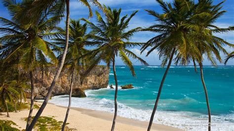 Bottom Bay, Barbados | Beach wallpaper, Island wallpaper, Barbados beaches