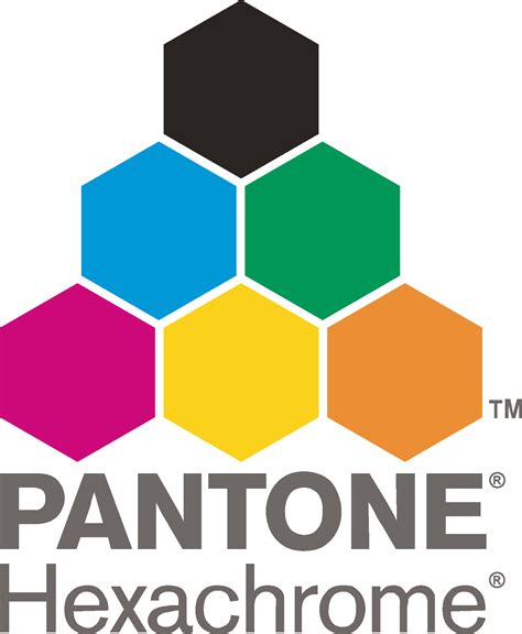 Pantone Hexachrome Logo Vector - (.Ai .PNG .SVG .EPS Free Download)