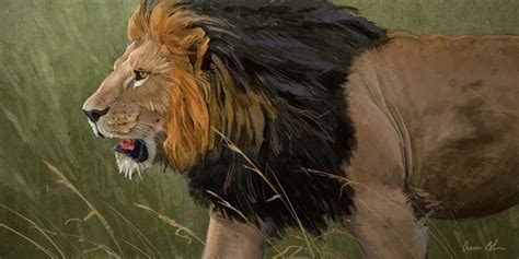 A couple of lion paintings. - The Art of Aaron Blaise