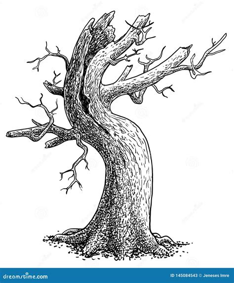 Dead Tree Illustration, Drawing, Engraving, Ink, Line Art, Vector Stock ...