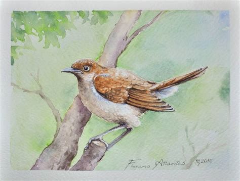 Nightingale Painting at PaintingValley.com | Explore collection of ...