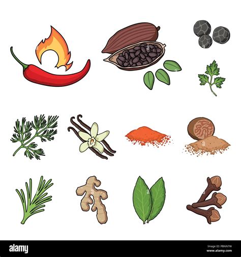 Herb and spices cartoon icons in set collection for design.Different kinds of seasonings vector ...