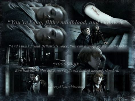 Mudblood - Harry Potter Photo (24093686) - Fanpop