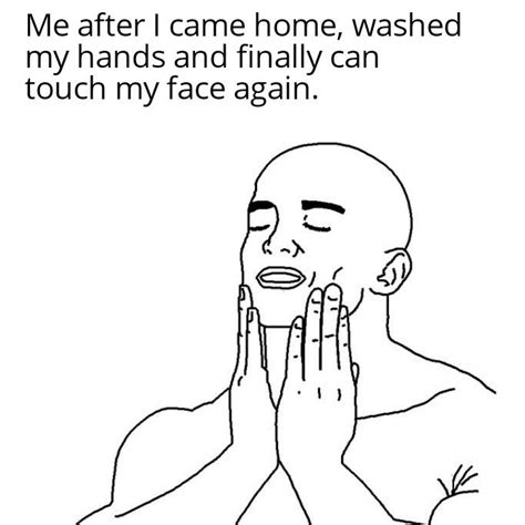 I f***Ing love to touch my face. : r/memes