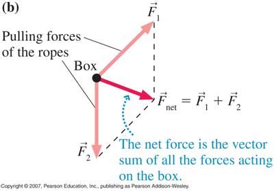 Vectors - SciPhy