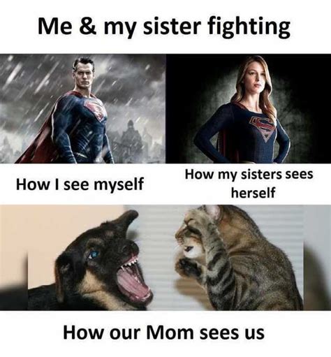 30 Totally Funny Sister Memes We Can All Relate To - SayingImages.com