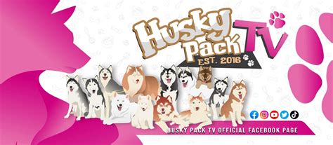 Husky Pack TV