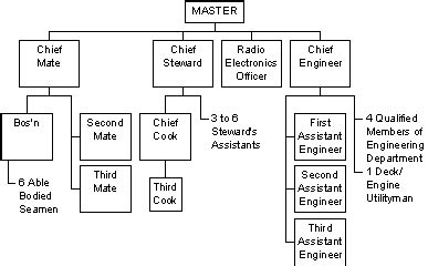 Technical English for Navigation: SHIP`S CREW-ORGANIZATION