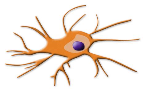 Nephron Power: TOPIC DISCUSSION: Dendritic Cells and Renal disease