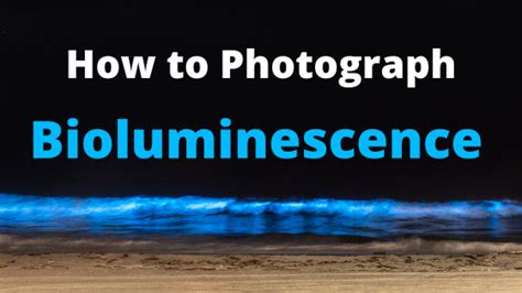 How to Photograph Bioluminescence - Adam's Trail Notes