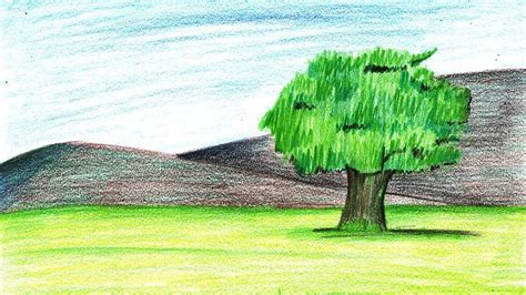 How to Draw a Tree Landscape Step by Step - very easy - YouTube