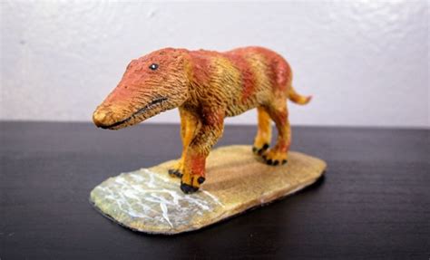 Pakicetus (Paleo-Creatures) | Dinosaur Toy Blog