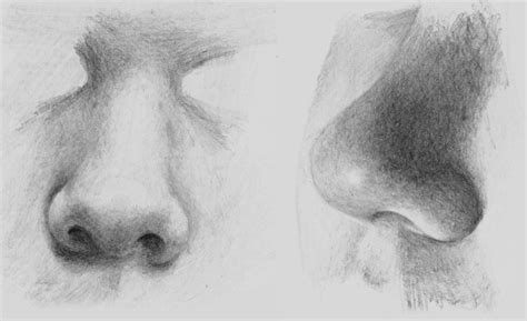 How to Draw Noses — Online Art Lessons