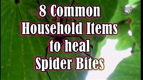 8 Common Household Items to treat Spider Bites - YouTube | Spider bites, Swelling remedies, Spider