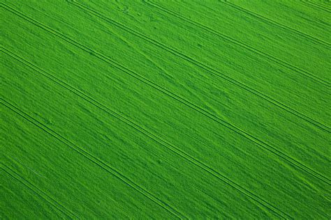 Aerial View Of A Field Free Stock Photo - Public Domain Pictures