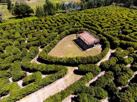 Hedge Maze | Activities | Redberry Farm