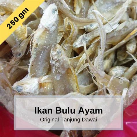 Ikan Bulu Ayam 250gm