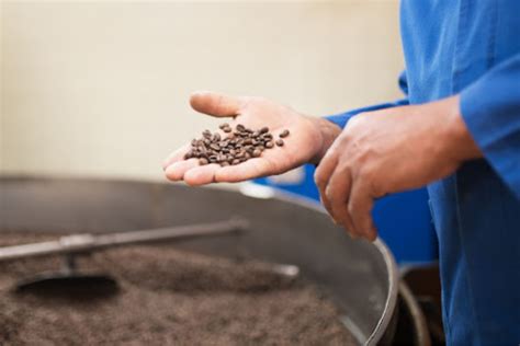 Coffee Roasting Process - Steps, Methods, and Techniques – Chariot Coffee