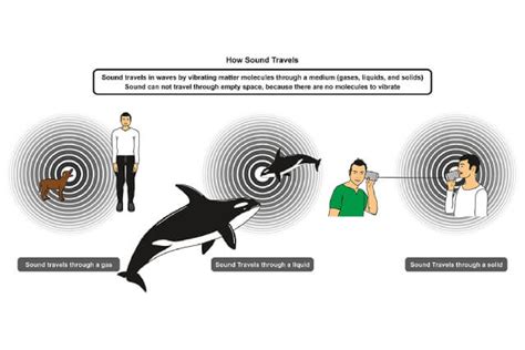 Speed Of Sound & Sound Waves: Understanding Key Concepts