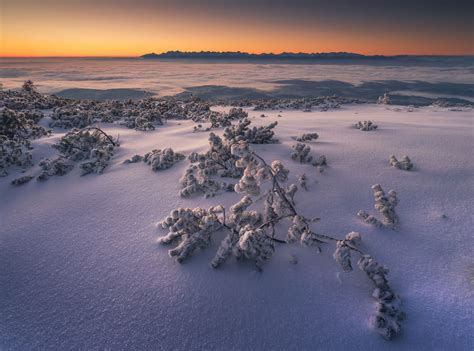 I Have Found The Magic Of Winter In The Polish Mountains | Bored Panda