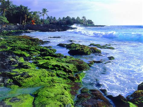 Kona Coast Big Island Hawaii picture, Kona Coast Big Island Hawaii photo, Kona | Beautiful ...