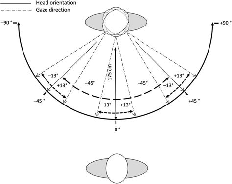 Schematic illustration of the variation of gaze direction and head ...