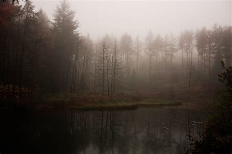 Dark Forest Lake Wallpapers - Top Free Dark Forest Lake Backgrounds - WallpaperAccess