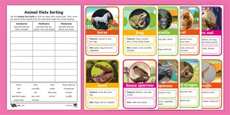 Y1 Animal Diets Sorting Activity Sheet (teacher made)