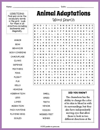 Animal Adaptations Word Search