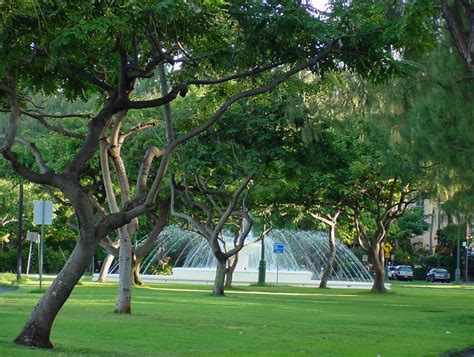 Kapiolani Park, Honolulu