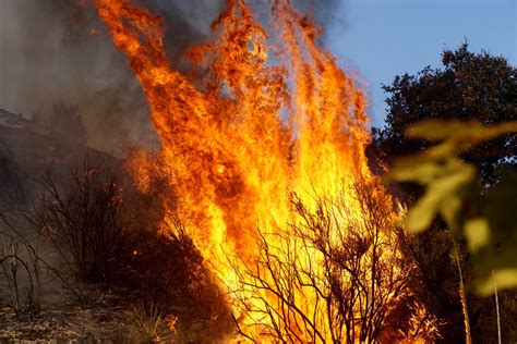 New California Fire Spreading Rapidly in San Bernardino County - Newsweek