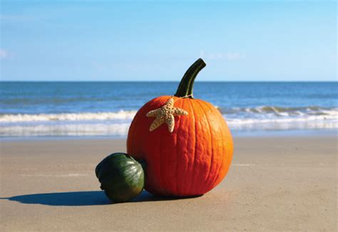 Fall at the Beach – Piccard Homes