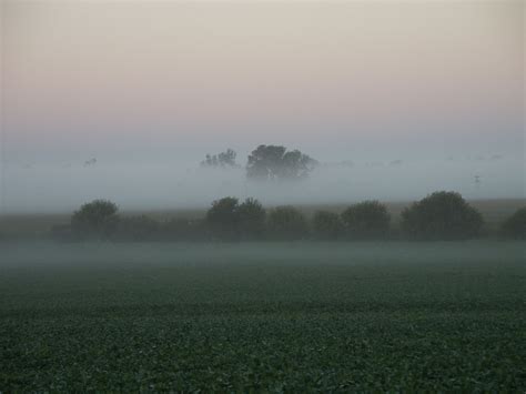 Free picture: early, morning, fog