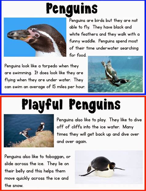 Classroom Freebies: Kid-Friendly Penguin Research