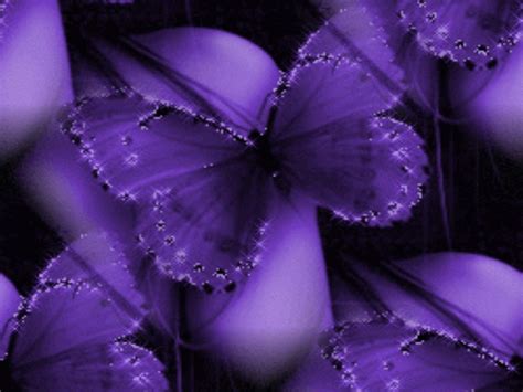 Free download PURPLE BUTTERFLY Wallpaper [1280x960] for your Desktop, Mobile & Tablet | Explore ...