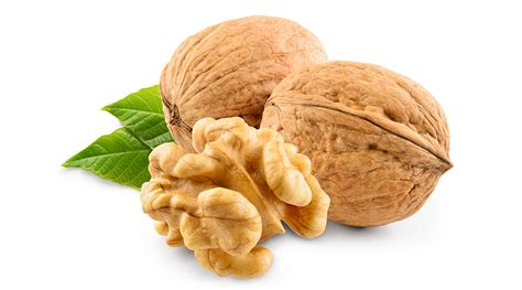 The Health Benefits of Walnuts: Nutritional Powerhouse