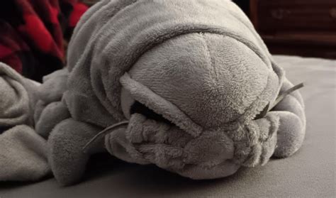 GIANT ISOPOD PLUSH : r/evilautism