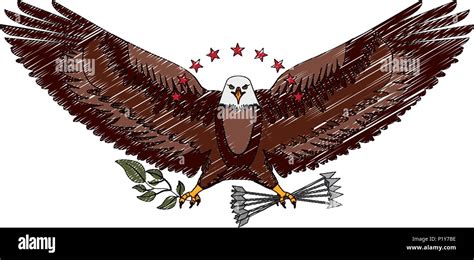 american eagle spread wings with stars arrows and branch vector ...