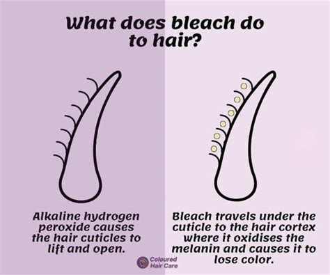 Does Bleach Damage Your Hair? 5 Top Tips To Prevent Damage.