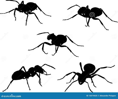 Set of Five Ant Silhouettes Stock Vector - Illustration of symbol, insect: 15074435