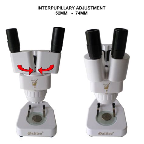 Galileo 20X & 30X Stereo GEM Microscope with Flexible LED Light # ...