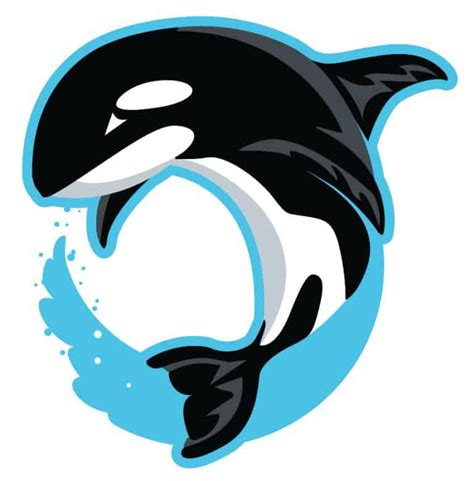 Orca Whale - Mascot Junction