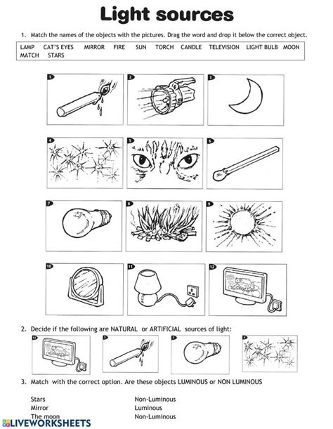 Sources of light interactive worksheet | Kindergarten worksheets ...