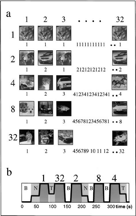 The Adaptation-Duration Experiment (a) An illustration of the sequence... | Download Scientific ...