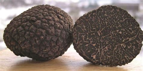 Truffles. The most expensive mushrooms in the world - Be Healthy magazine