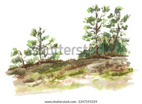 Forest Landscape Hand Drawn Watercolor Illustration Stock Illustration 2247593329 | Shutterstock