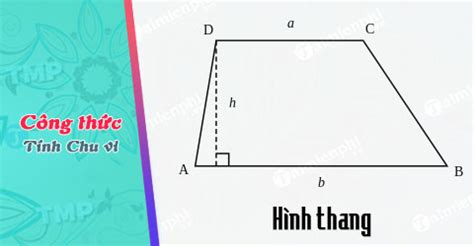 Công thức tính chu vi hình Thang, có ví dụ minh họa - Thủ thuật