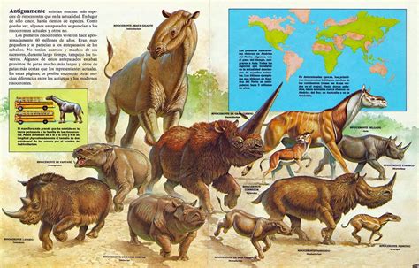 RINOCERONTES | Prehistoric wildlife, Extinct animals, Ancient animals