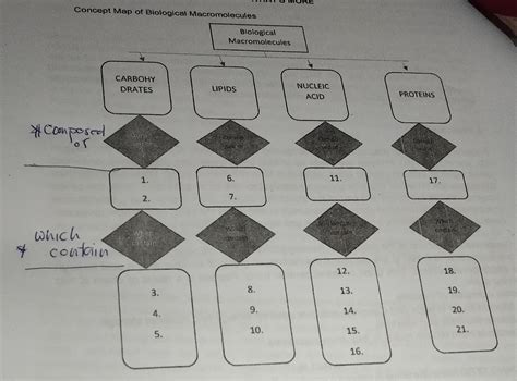 Paanswer po hehe,,, "Concept Map of Biological Macromolecules" - Brainly.ph